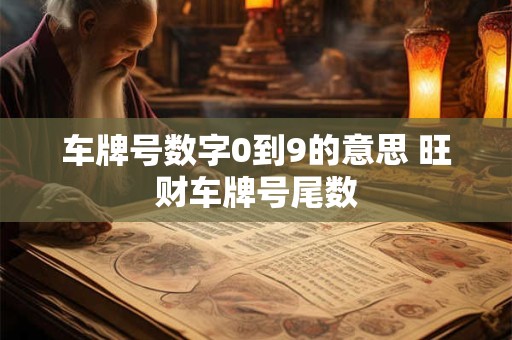 车牌号数字0到9的意思 旺财车牌号尾数
