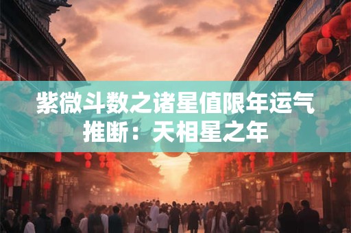 紫微斗数之诸星值限年运气推断：天相星之年