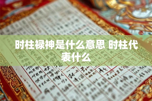 时柱禄神是什么意思 时柱代表什么