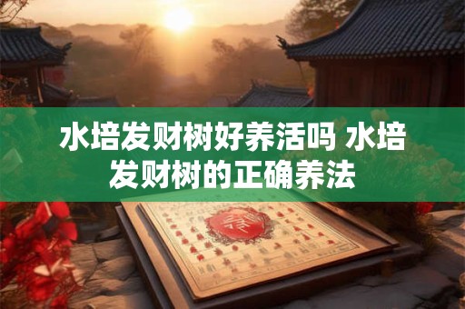 水培发财树好养活吗 水培发财树的正确养法
