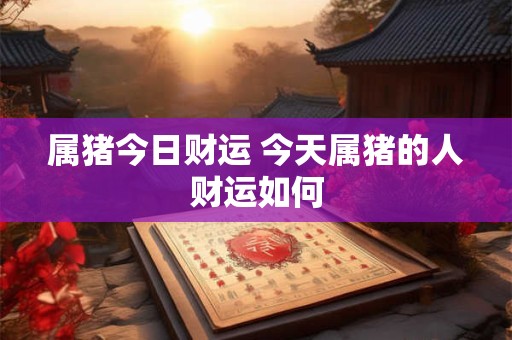 属猪今日财运 今天属猪的人财运如何