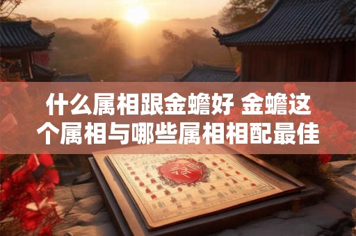 什么属相跟金蟾好 金蟾这个属相与哪些属相相配最佳