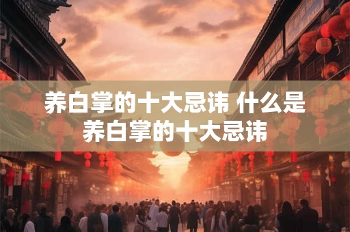 养白掌的十大忌讳 什么是养白掌的十大忌讳