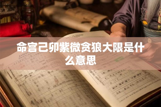 命宫己卯紫微贪狼大限是什么意思