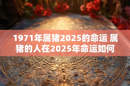 1971年属猪2025的命运 属猪的人在2025年命运如何