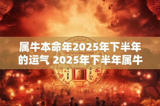 属牛本命年2025年下半年的运气 2025年下半年属牛会有怎样的运势