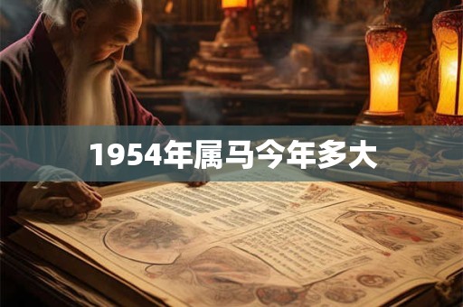 1954年属马今年多大