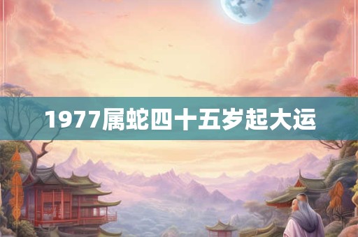 1977属蛇四十五岁起大运