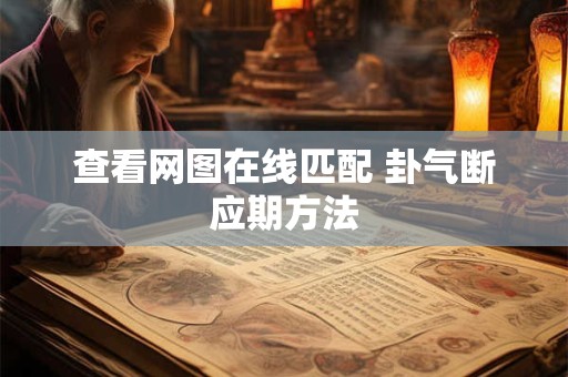 查看网图在线匹配 卦气断应期方法