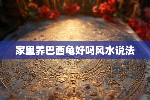 家里养巴西龟好吗风水说法