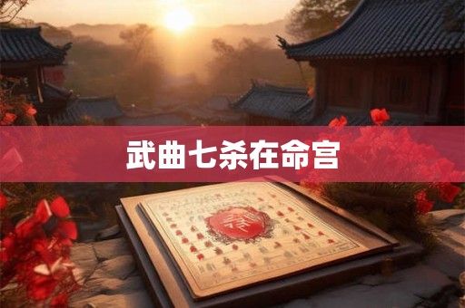 武曲七杀在命宫