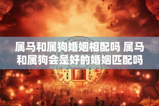属马和属狗婚姻相配吗 属马和属狗会是好的婚姻匹配吗