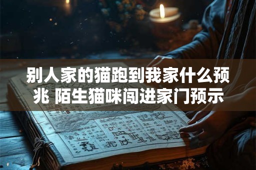 别人家的猫跑到我家什么预兆 陌生猫咪闯进家门预示什么