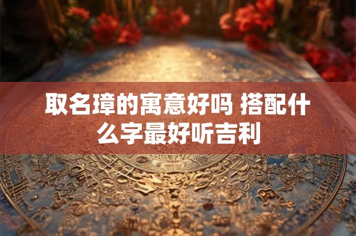 取名璋的寓意好吗 搭配什么字最好听吉利