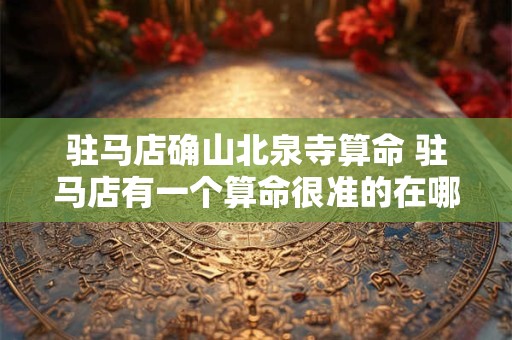 驻马店确山北泉寺算命 驻马店有一个算命很准的在哪