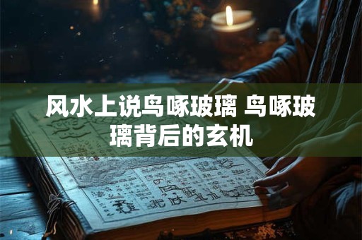 风水上说鸟啄玻璃 鸟啄玻璃背后的玄机