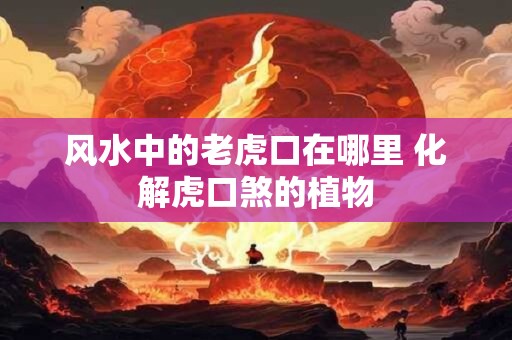 风水中的老虎口在哪里 化解虎口煞的植物
