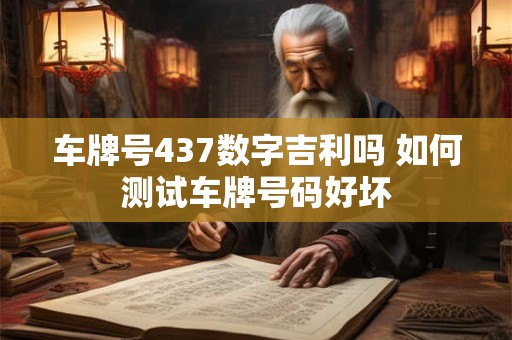 车牌号437数字吉利吗 如何测试车牌号码好坏