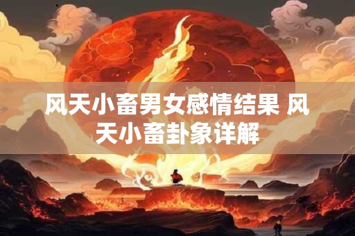 风天小畜男女感情结果 风天小畜卦象详解