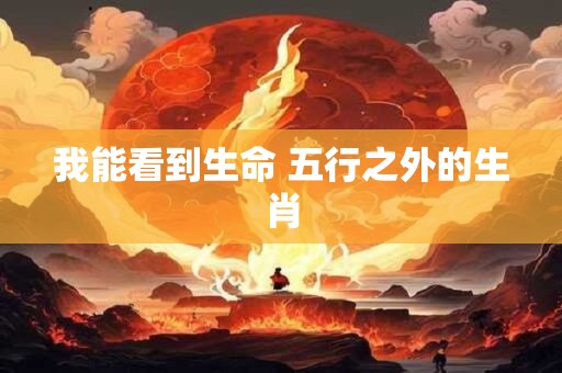 我能看到生命 五行之外的生肖 我能看到生命 五行之外的生肖