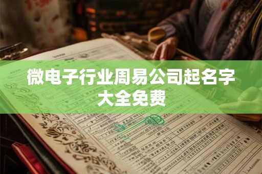 微电子行业周易公司起名字大全免费