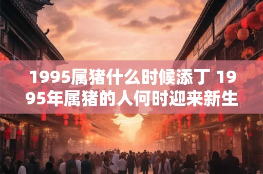 1995属猪什么时候添丁 1995年属猪的人何时迎来新生命