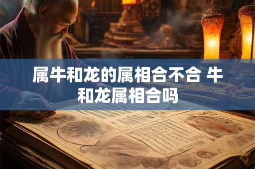属牛和龙的属相合不合 牛和龙属相合吗