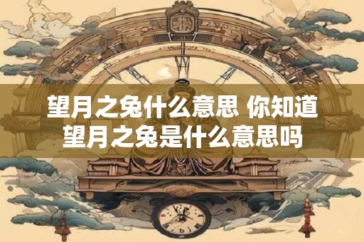 望月之兔什么意思 你知道望月之兔是什么意思吗