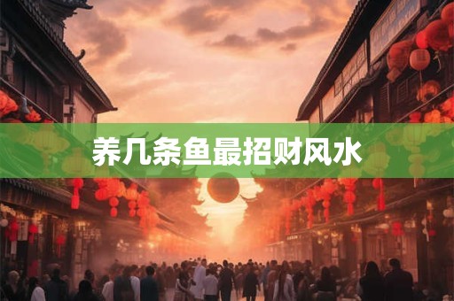 养几条鱼最招财风水