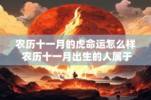 农历十一月的虎命运怎么样 农历十一月出生的人属于虎他们的运势如何