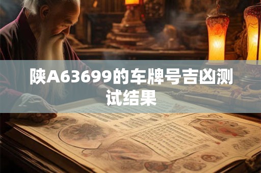 陕A63699的车牌号吉凶测试结果
