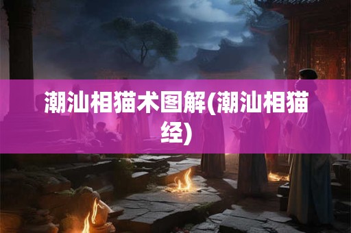 潮汕相猫术图解(潮汕相猫经)
