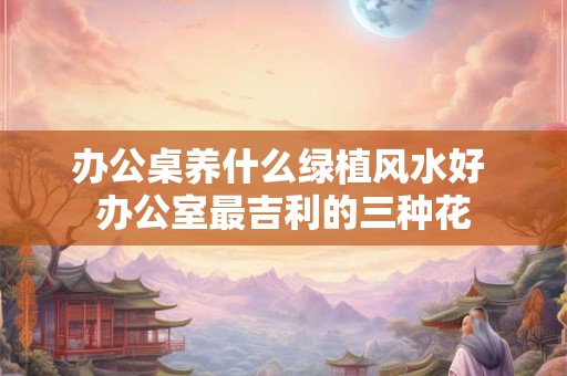 办公桌养什么绿植风水好 办公室最吉利的三种花