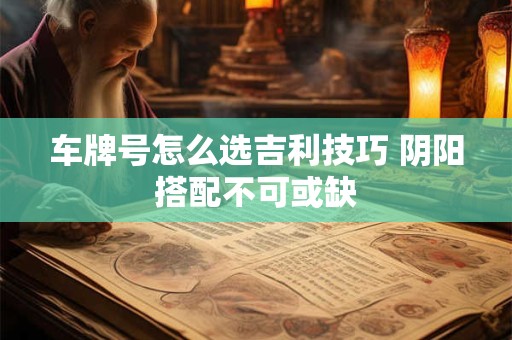 车牌号怎么选吉利技巧 阴阳搭配不可或缺