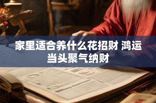 家里适合养什么花招财 鸿运当头聚气纳财