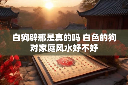 白狗辟邪是真的吗 白色的狗对家庭风水好不好