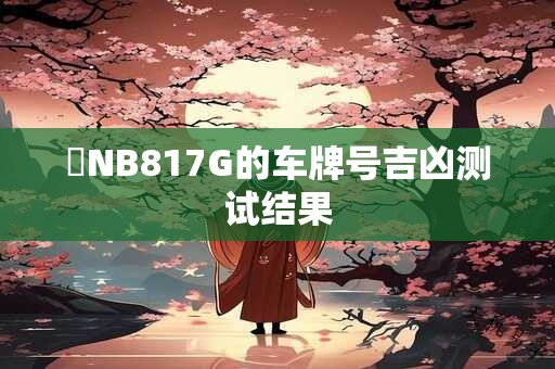 魯NB817G的车牌号吉凶测试结果