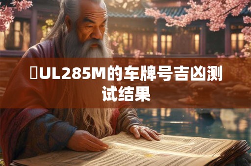 魯UL285M的车牌号吉凶测试结果