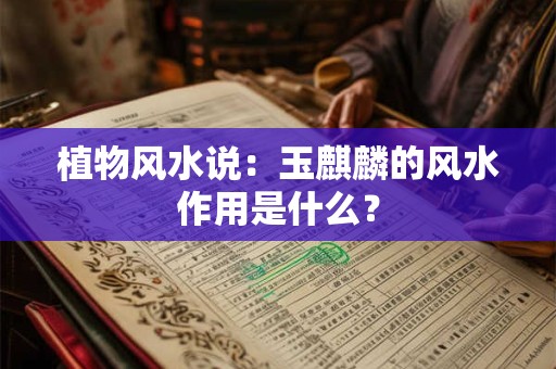植物风水说：玉麒麟的风水作用是什么？