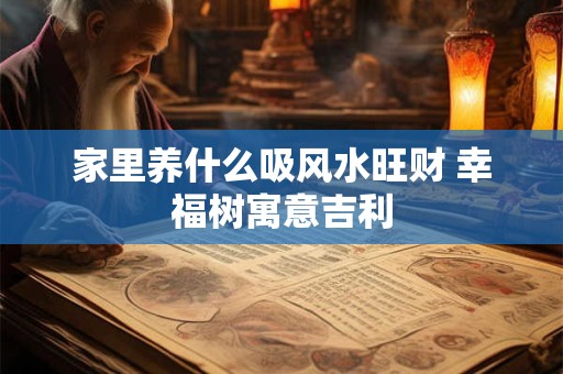 家里养什么吸风水旺财 幸福树寓意吉利