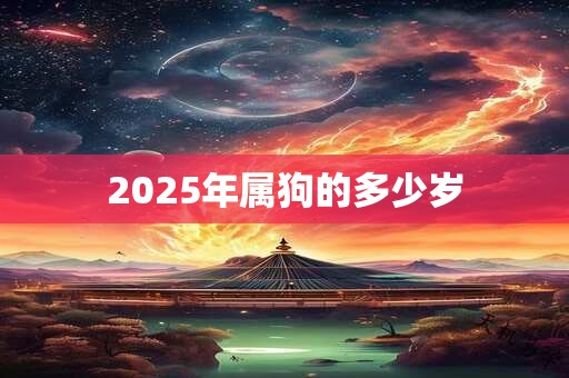 2025年属狗的多少岁