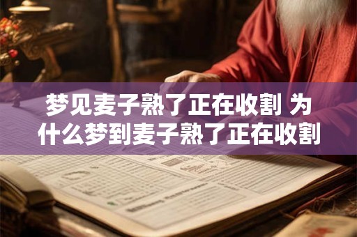 梦见麦子熟了正在收割 为什么梦到麦子熟了正在收割