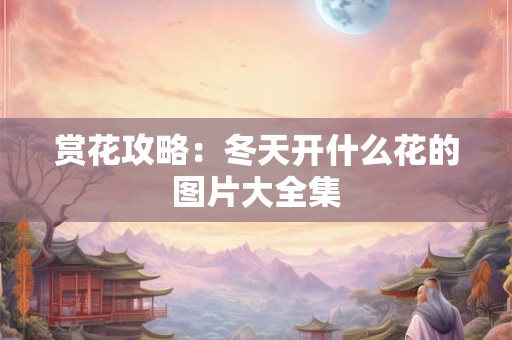 赏花攻略：冬天开什么花的图片大全集