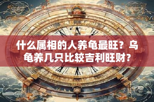 什么属相的人养龟最旺？乌龟养几只比较吉利旺财？