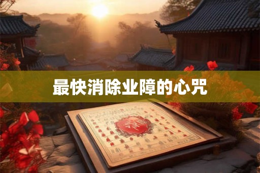 最快消除业障的心咒