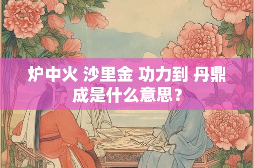 炉中火 沙里金 功力到 丹鼎成是什么意思？