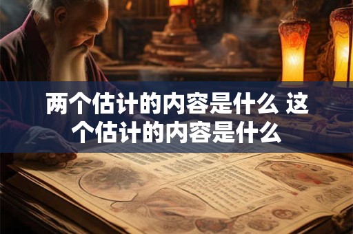两个估计的内容是什么 这个估计的内容是什么