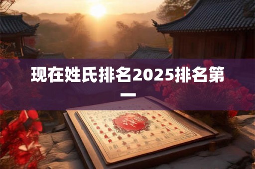 现在姓氏排名2025排名第一