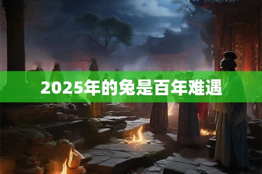 2025年的兔是百年难遇