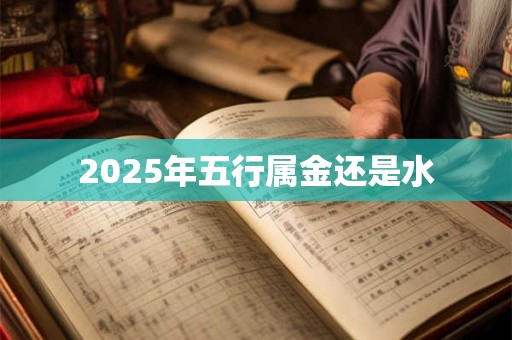 2025年五行属金还是水